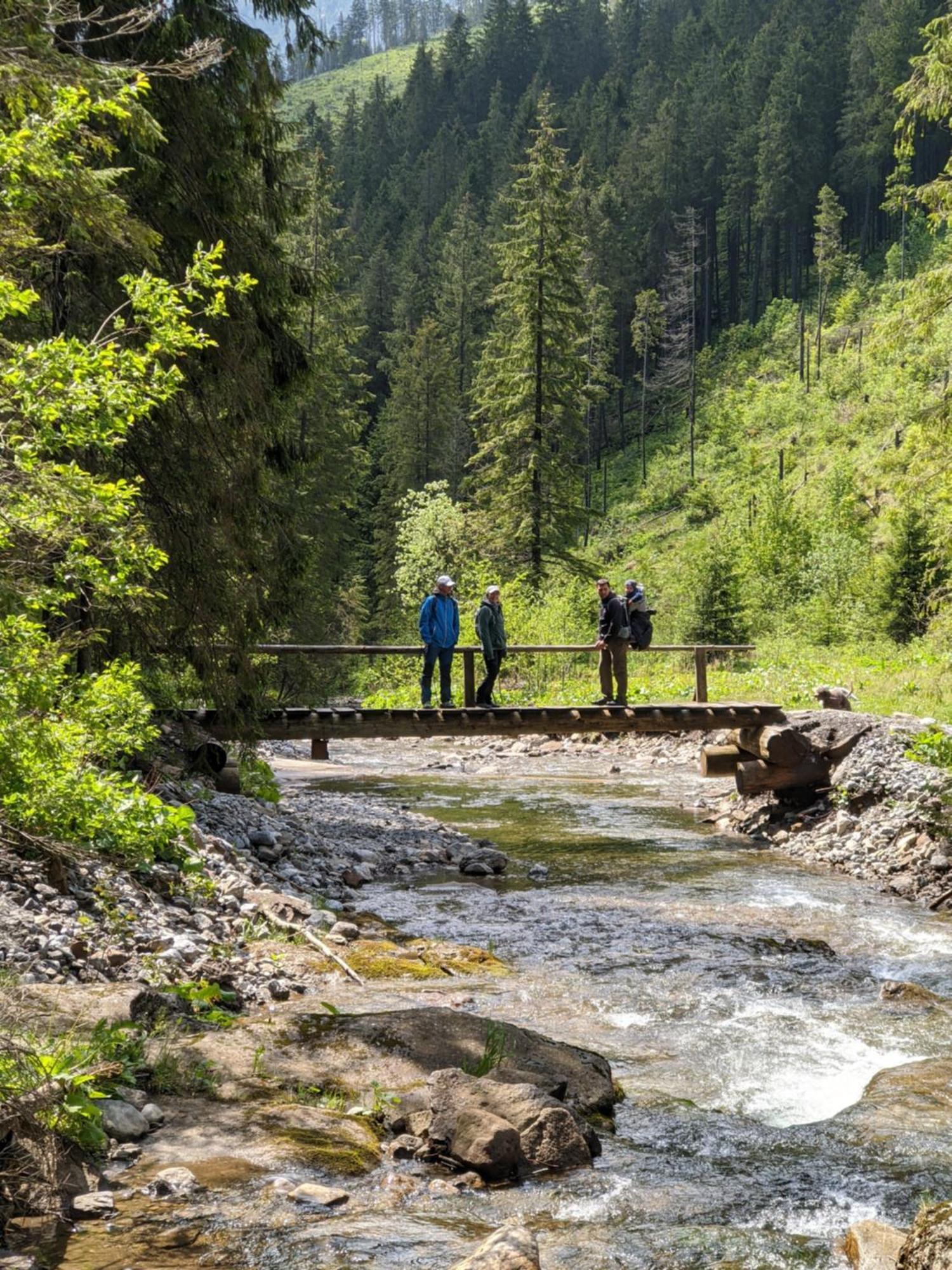 Apartmány Lesy a Lúky - V srdci Tatier Vysoké Tatry Exterior foto